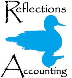 Reflectins Accounting